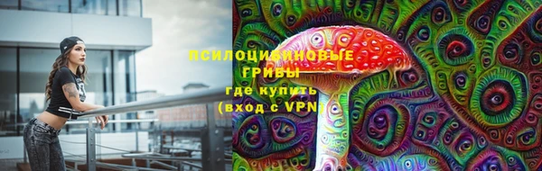 ПСИЛОЦИБИНОВЫЕ ГРИБЫ Богородск