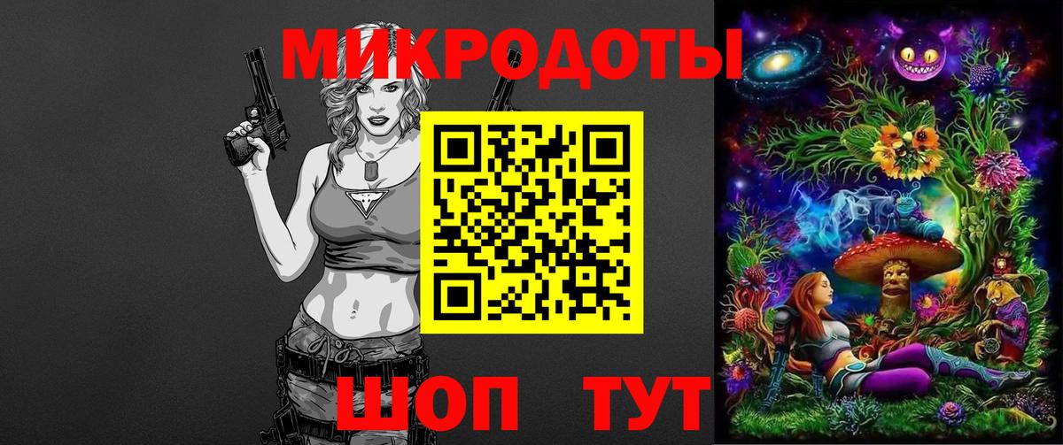 Псилоцибиновые грибы Psilocybine cubensis  Старая Купавна 